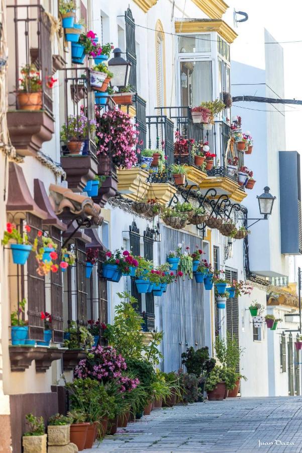 Ferienwohnung La Rosa De Barbate Exterior foto